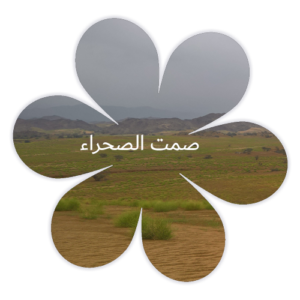 ❀ صمت الصحراء ❀