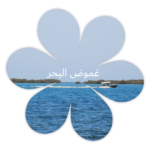 ❀ غموض البحر ❀