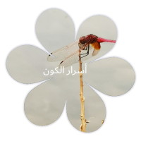 ❀ أسرار الكون ❀